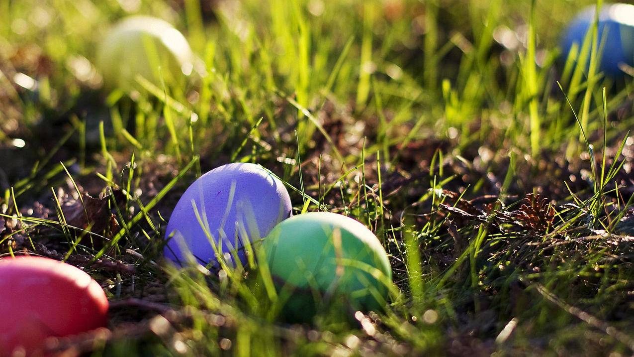 微信如何换绑定电话_微信如何更换绑定电话号码 - 微信相关 - 55dz账号网