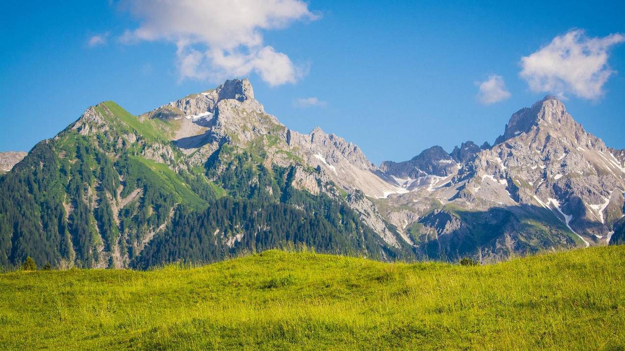 为什么要刷油管没有记录_油管怎么刷 - youtube相关 - 55dz账号网