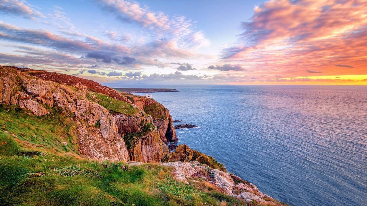 怎么看苹果手机的苹果 id密码? ， 苹果手机id密码在哪里可以看到  - 55dz账号网