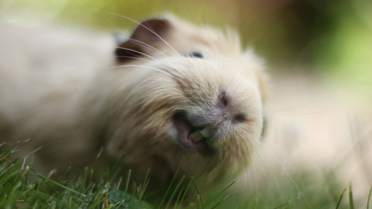 数学如何拿高分初中毕业 - 初中教育 - ks24小时自助