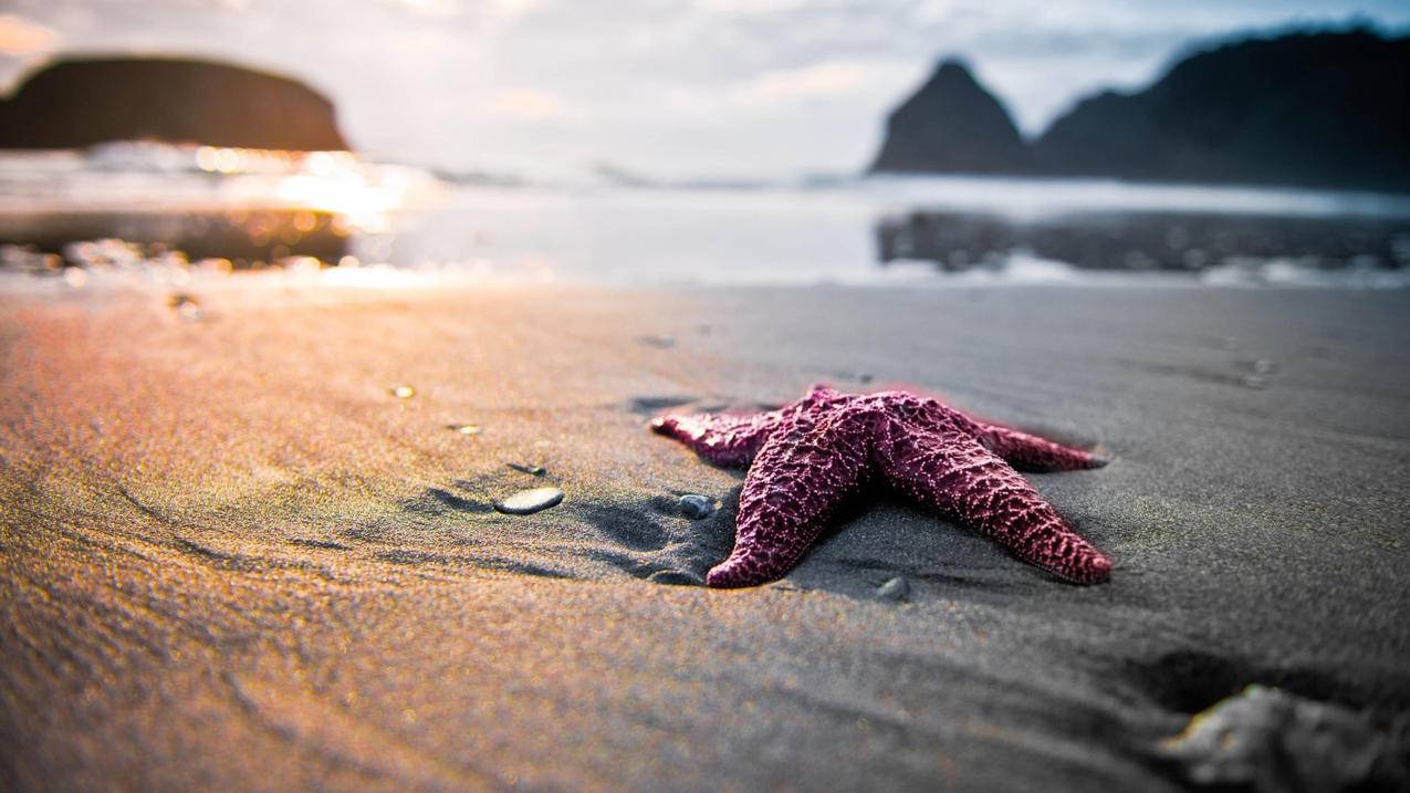 如何修改油管名字_油管如何修改昵称 - youtube相关 - 55dz账号网