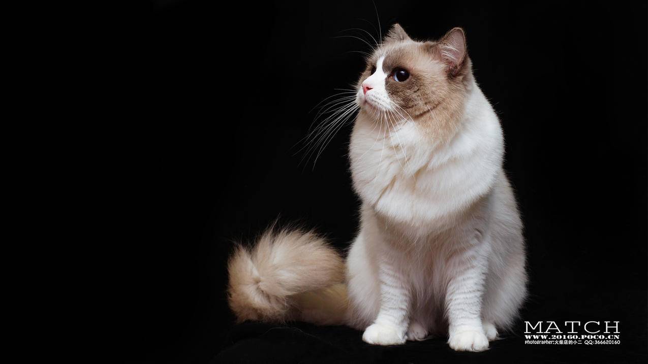 nba2k18联网失败_为什么nba2k18连不上网络 - IOS分享 - 55dz账号网