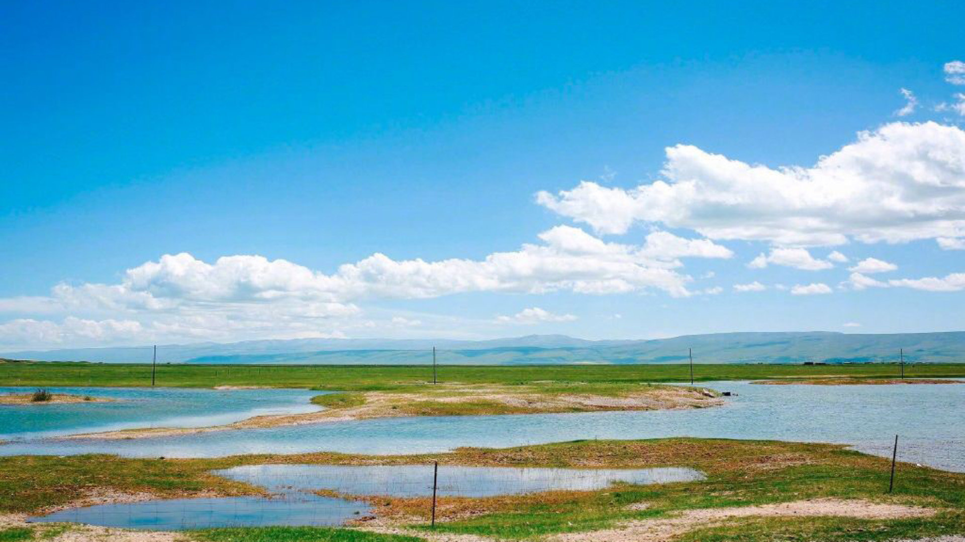 苹果id被锁定了怎么办啊? ， 苹果账号被锁定了怎么办?  - 55dz账号网