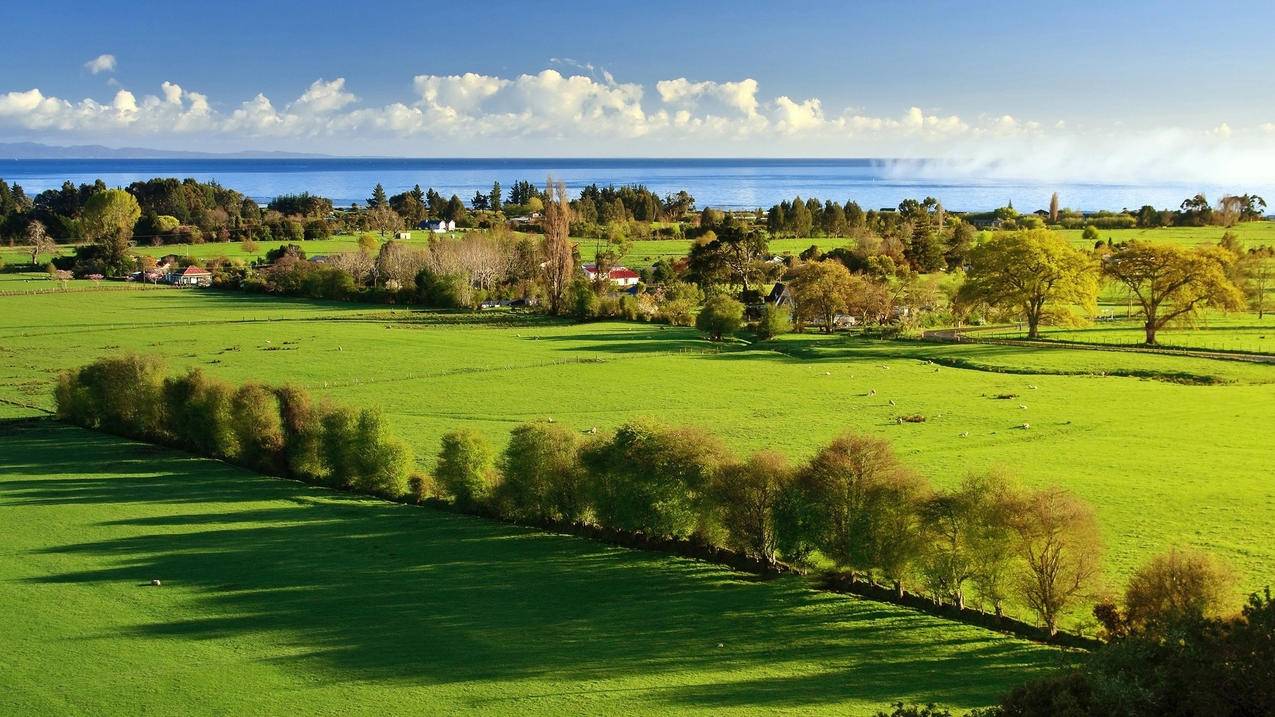 openclash缺少配置文件,请上传或更新配置文件_openclash配置文件下载失败 - clash相关 - 55dz账号网