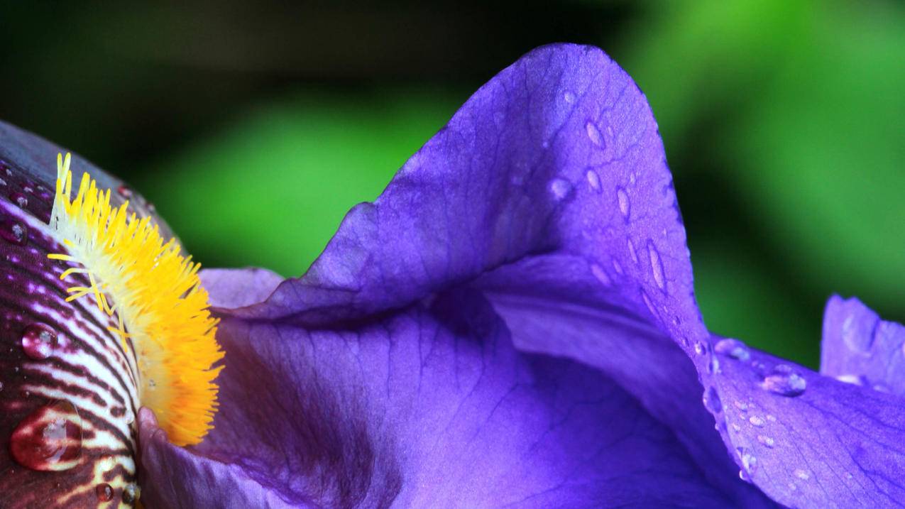 千川如何快速拉标签？ - ks自助下单 - ks业务下单