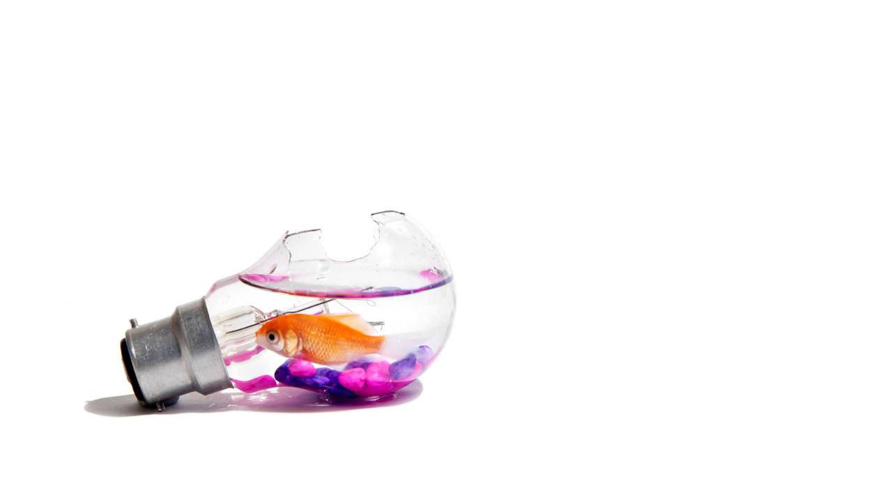 messenger视频_messenger视频图标一闪一闪 - messenger相关 - 55dz账号网