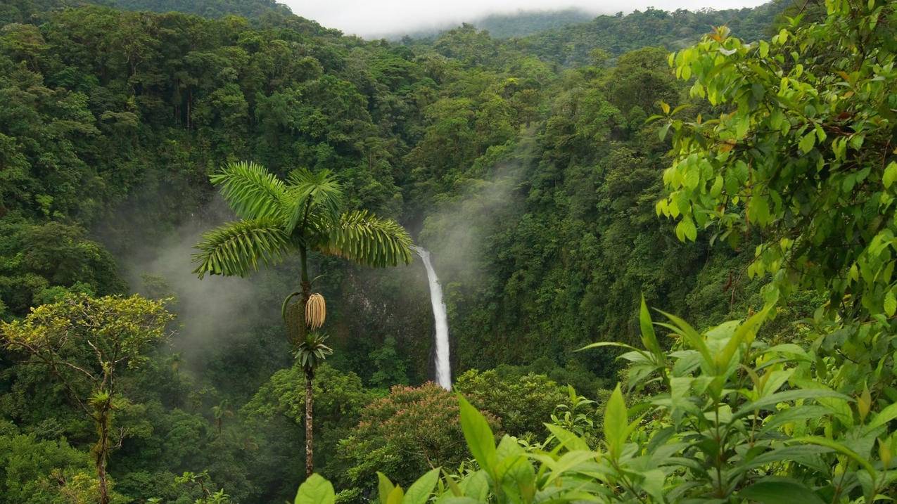 日本苹果id兑换码使用_日本苹果商店怎么换id账号 - 日本苹果ID - 55dz账号网