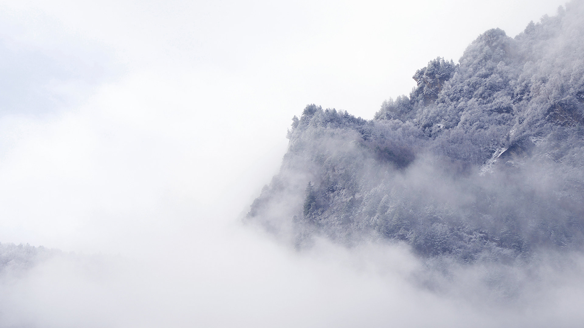 韩国苹果id退出显示无法退出_iphone id退出不了 - 韩国苹果id - 55dz账号网