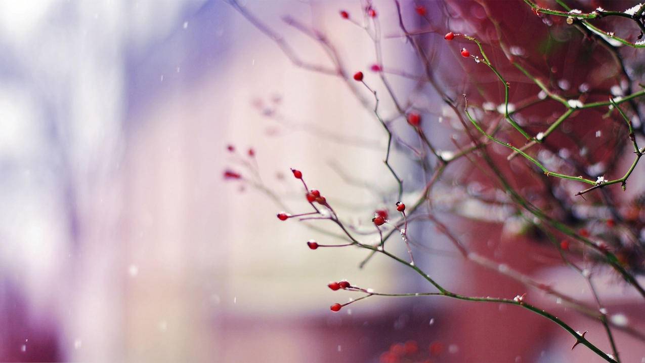 facebook如何看别人动态_facebook怎么看动态 - facebook相关 - 55dz账号网