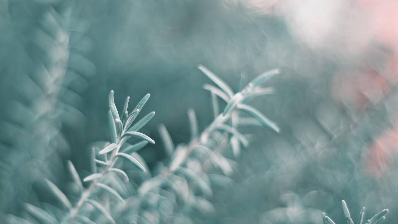 韩国appleid发生未知错误是什么意思_苹果手机id发生未知错误是什么意思 - 韩国苹果id - 55dz账号网