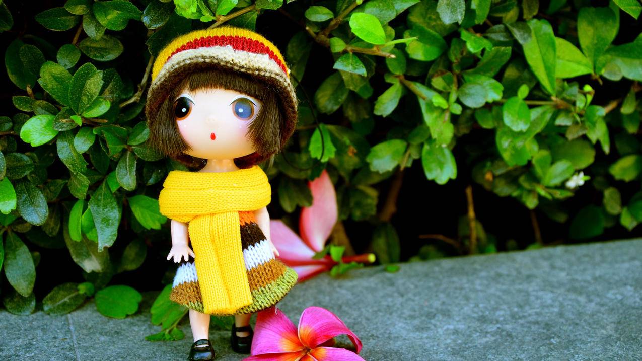 手机怎样用邮箱注册支付宝账号_手机上怎样用邮箱注册支付宝账号 - gmail相关 - 55dz账号网