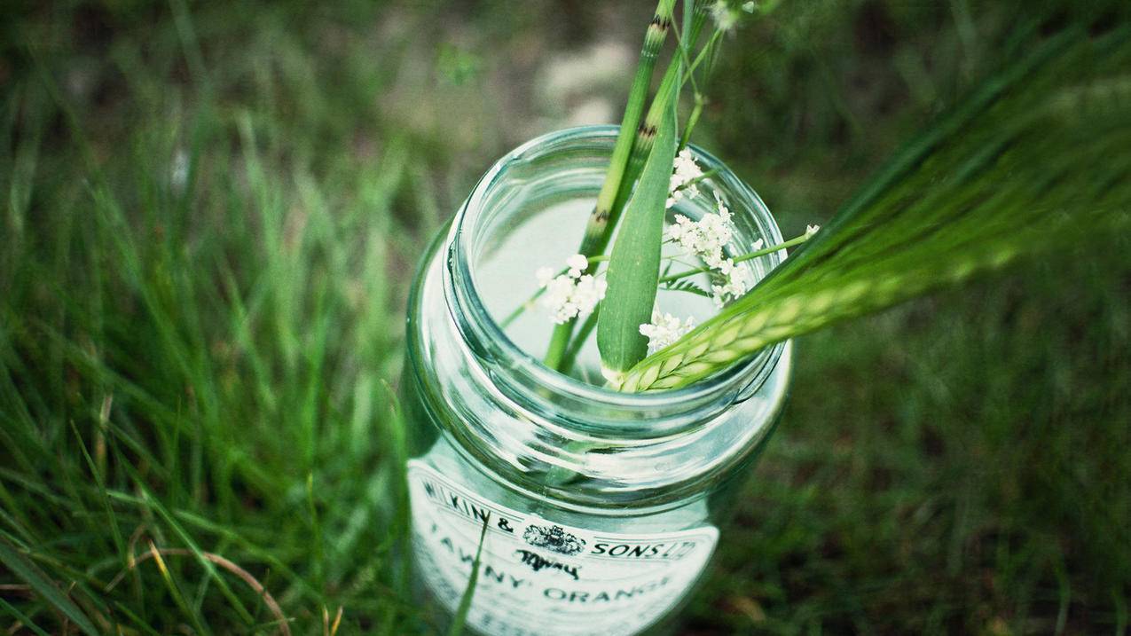 tiktok成功案例话术_tiktok直播话术 - tiktok相关 - 55dz账号网