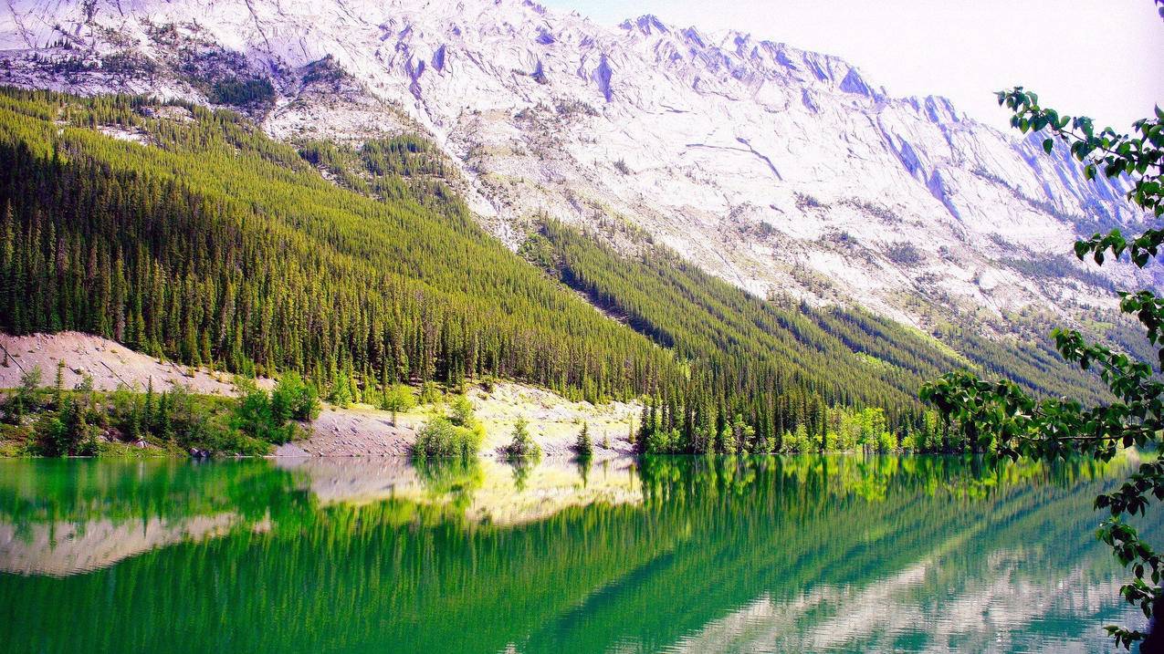 youtube安卓中文翻译插件_安卓youtube自动翻译 - youtube相关 - 55dz账号网