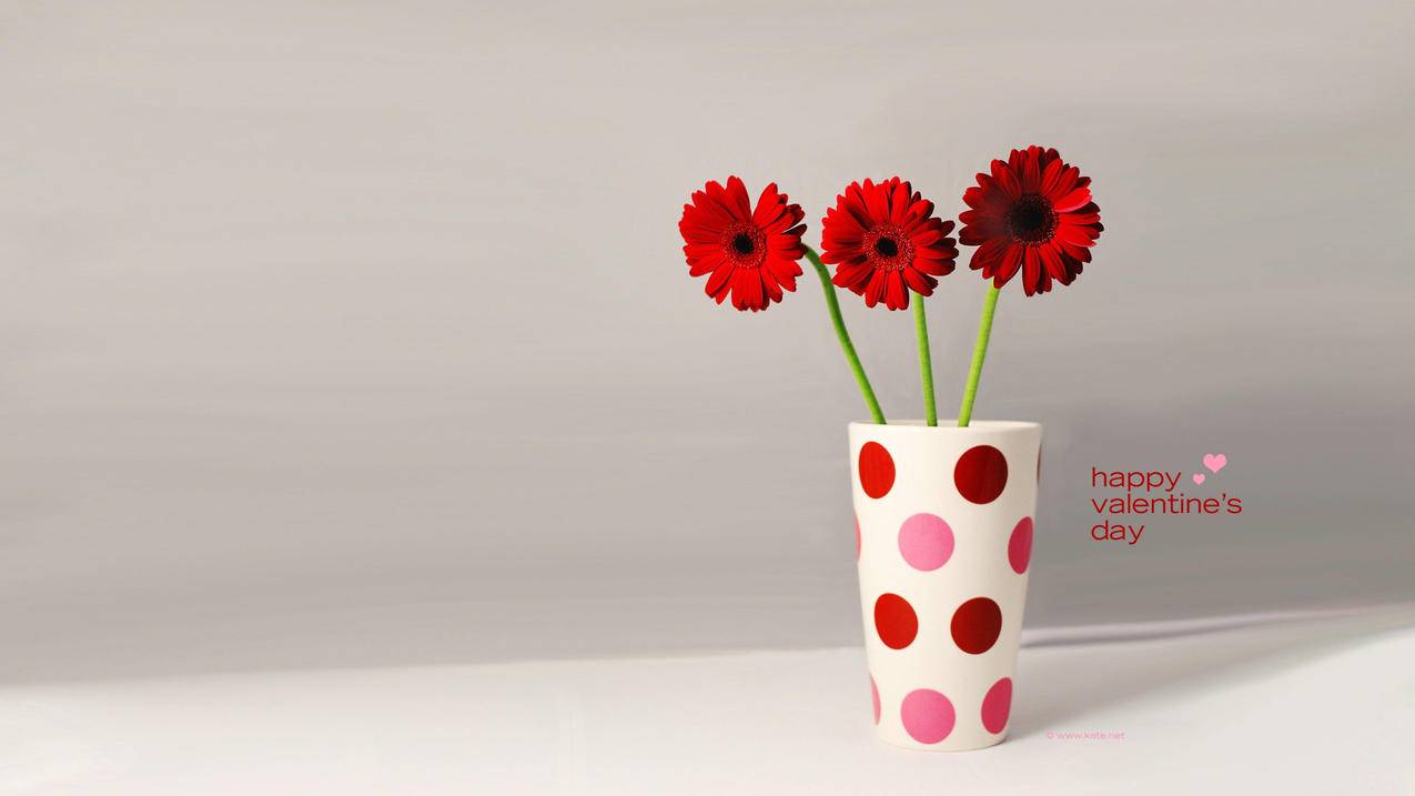 joins是什么意思啊_joins怎么读 - INS相关 - 55dz账号网