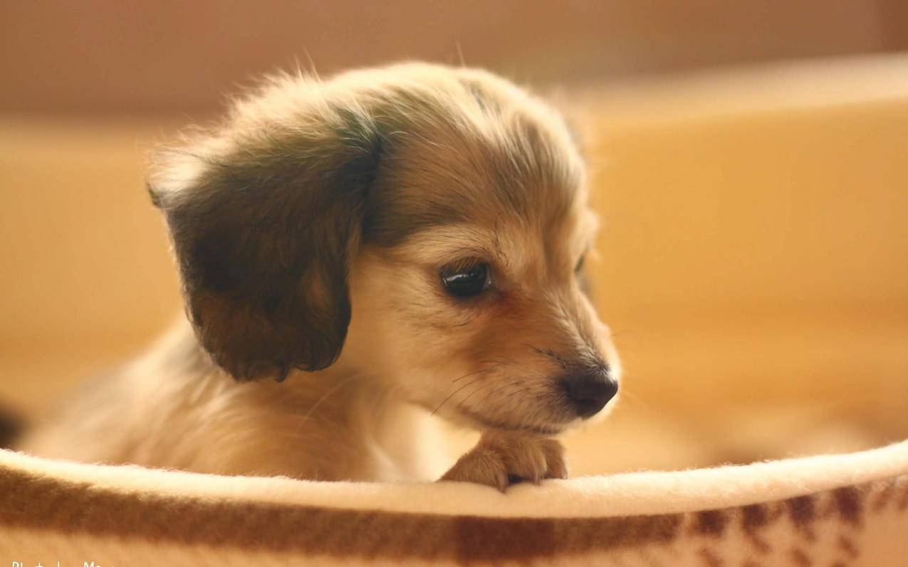 台湾苹果id的付款方式怎么验证_台湾苹果id的付款方式怎么验证不了 - 台湾苹果ID - 55dz账号网