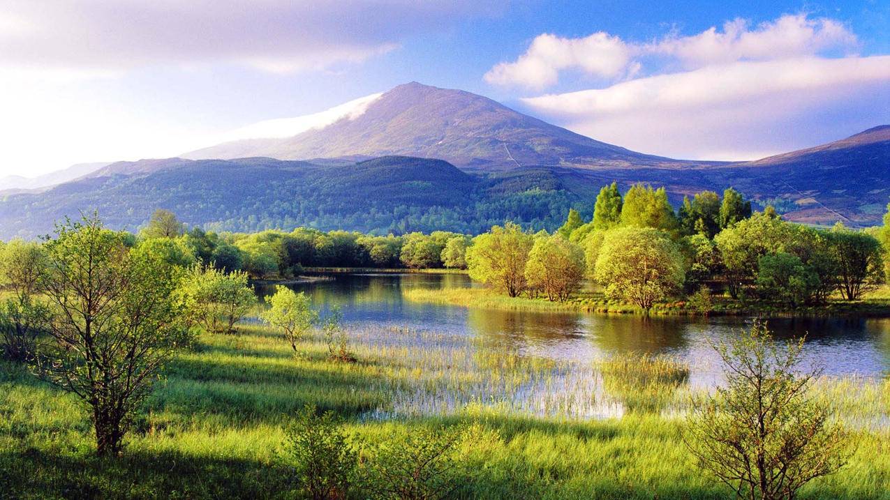 icloud登陆账号是什么格式的?  ( 苹果手机icloud账户格式是什么样的 ) - 55dz账号网