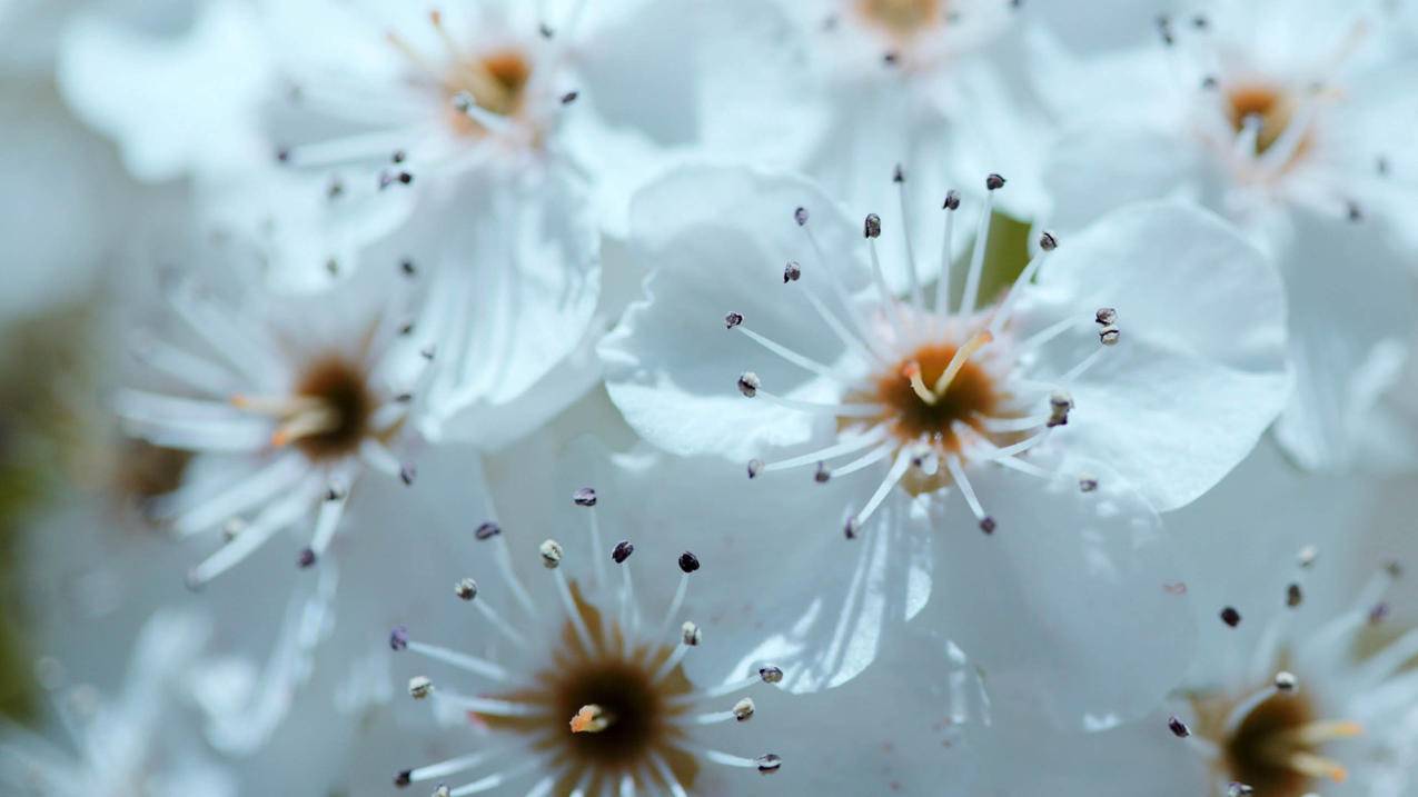 苹果手机注册不了id怎么办? ， 我在苹果手机上怎么创建不了apple id账号啊!  - 55dz账号网