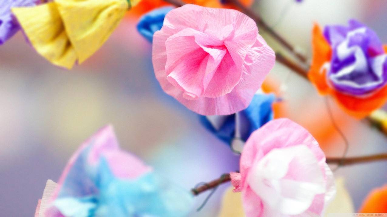 美国留学真实费用 - Apple ID相关 - 55dz账号网