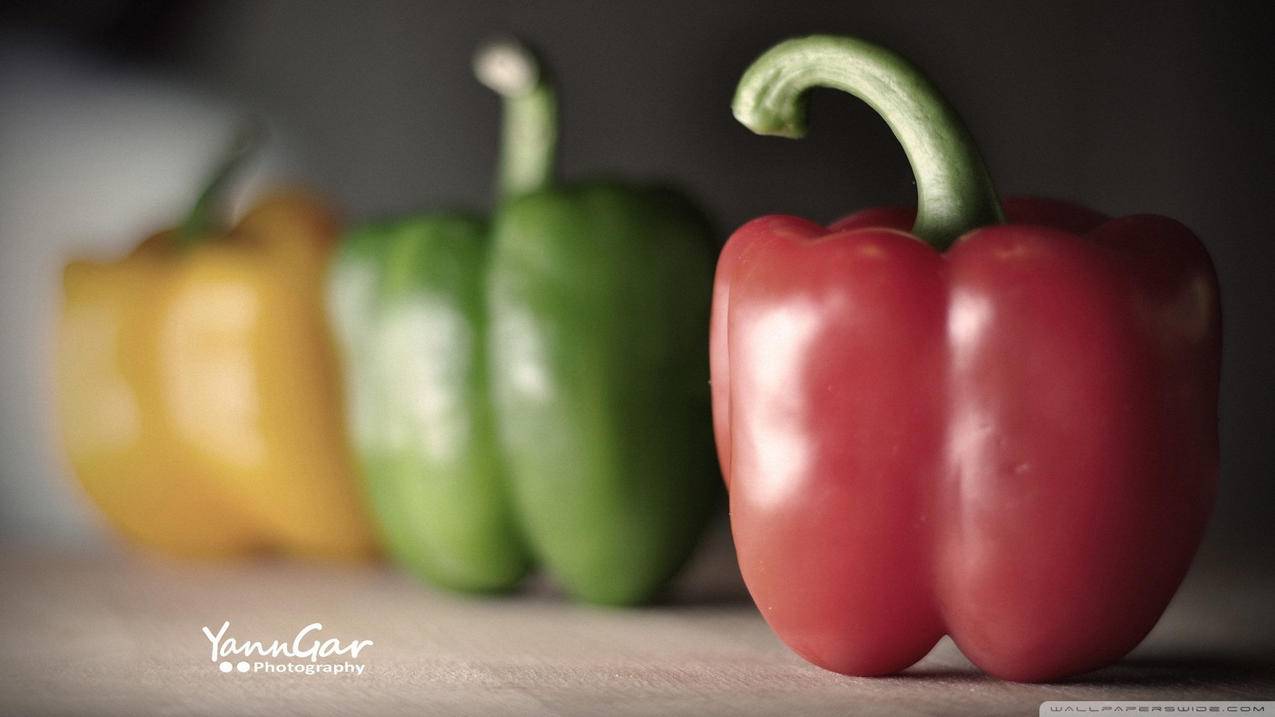 还在为iPhone13没有充电器发愁吗？这些品牌都可以关注一下 - Apple ID相关 - 55dz账号网