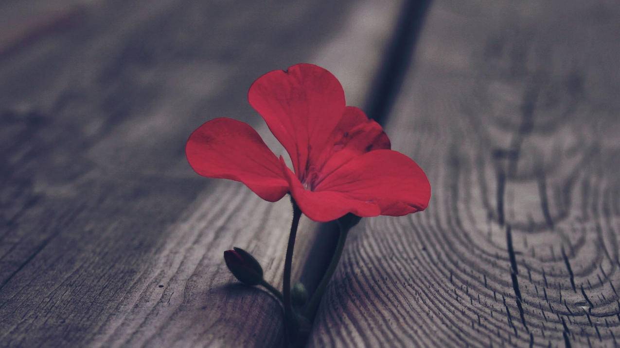 nba2k21最新球员名单更新ps4_nba2k21 ps4更新 - IOS分享 - 55dz账号网