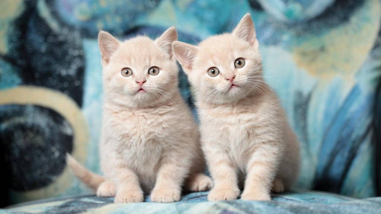 美服点卡怎么用_美服点卡怎么用没了 - 美国苹果ID - 55dz账号网