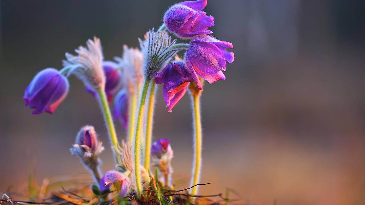 无法与google服务器通信realme_无法与google服务器通信怎么办 - google相关 - 55dz账号网