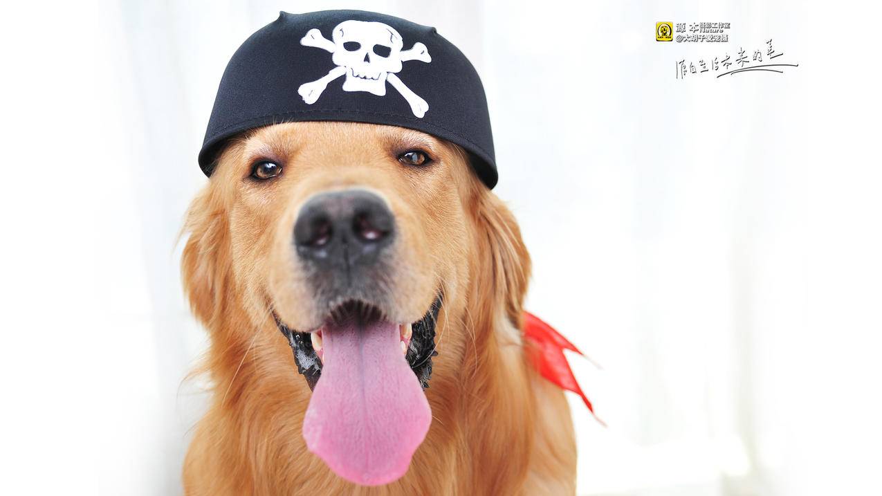 什么笔记本可以玩nba2kol2_什么笔记本可以玩gta5最高画质 - IOS分享 - 55dz账号网