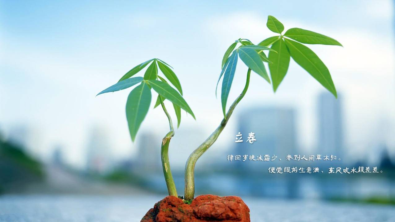 什么耳机刷抖音最好-dy业务网