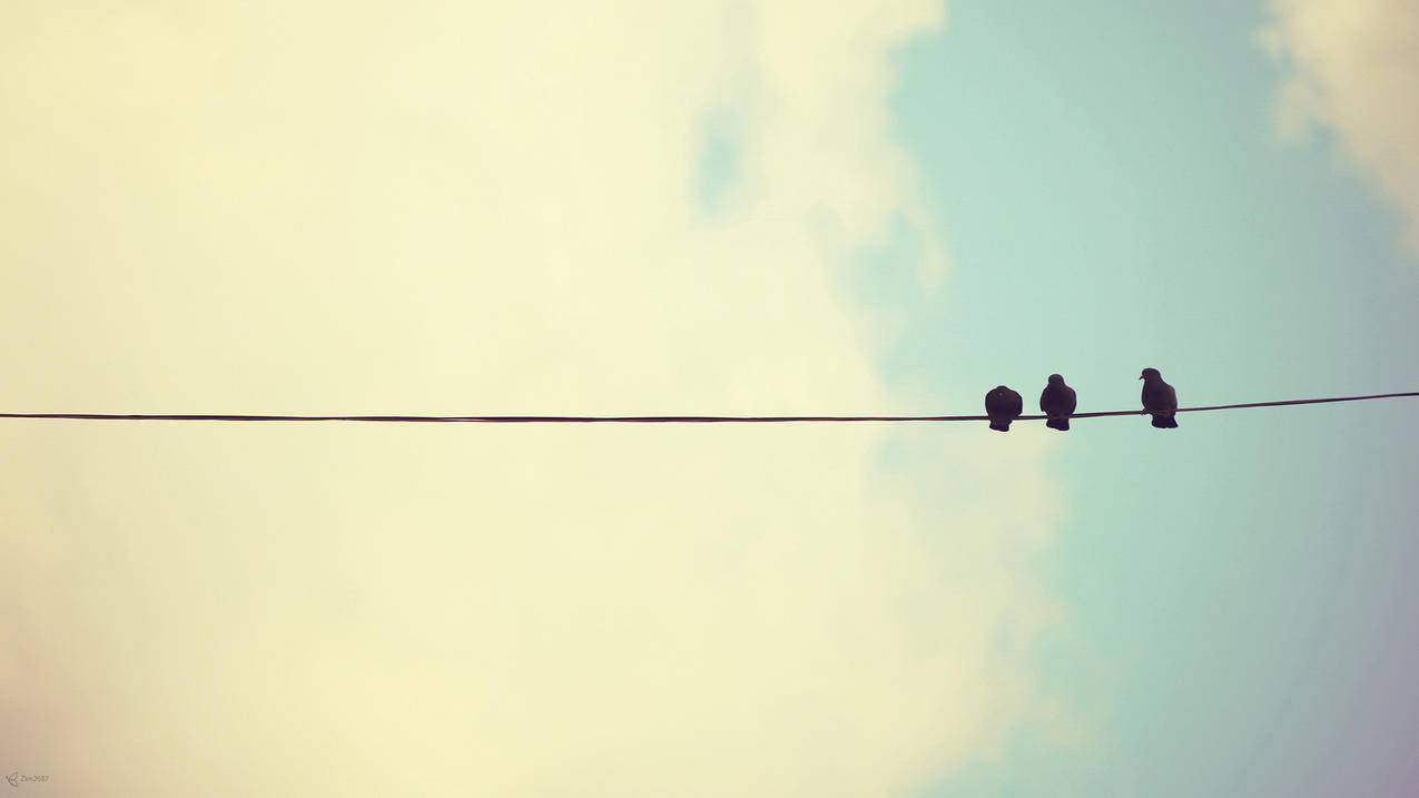 苹果id支付怎么申请退款_苹果ID如何申请退款 - 各区苹果ID - 55dz账号网