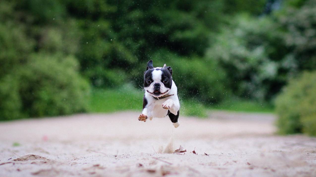 拼多多砍价的多少个人 - ks业务 - 蘑菇业务网