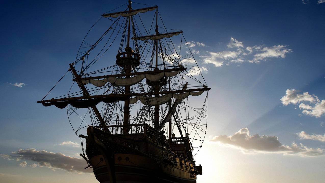 tiktok评论翻译按钮不见了_tiktok评论翻译成中文 - tiktok相关 - 55dz账号网