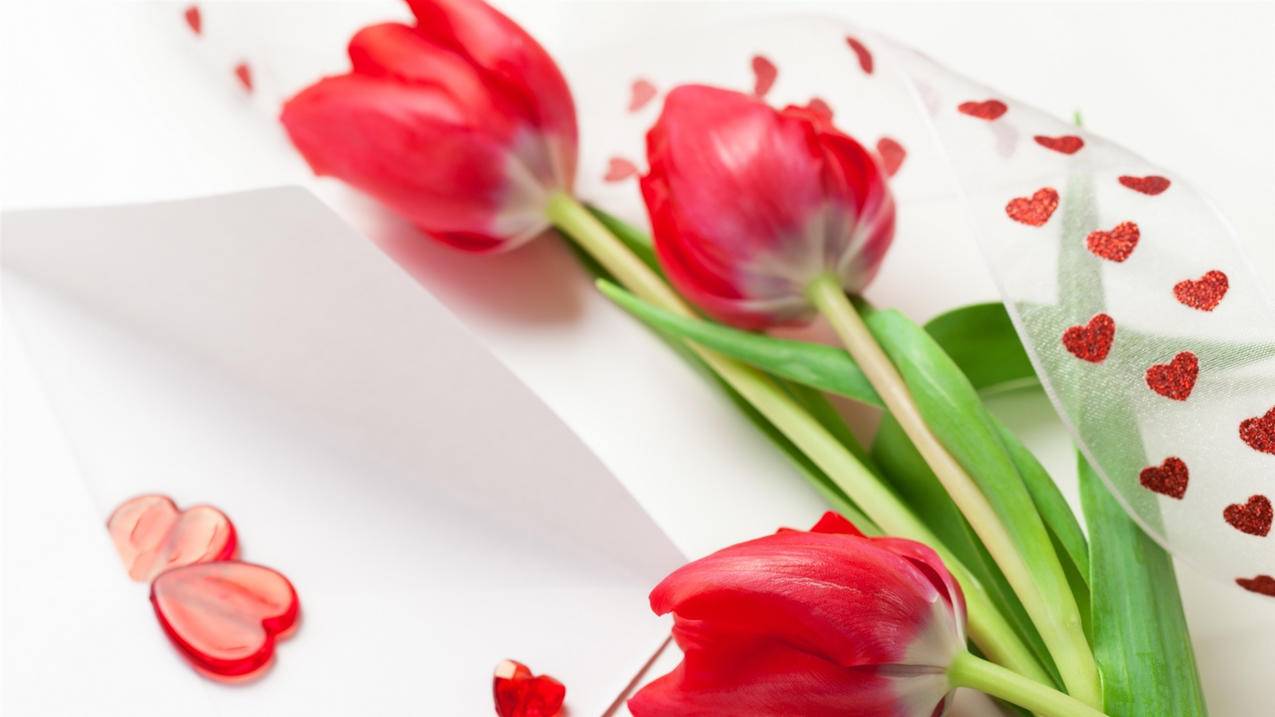 越南苹果id账号出生日期无效 - 各区苹果ID - 55dz账号网