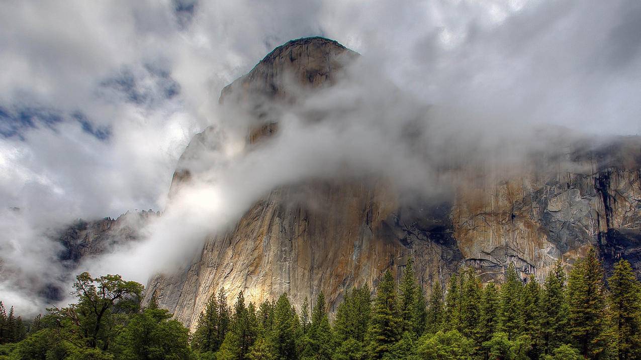 为什么我的苹果ID无法验证 ， 苹果id验证失败怎么办  - 55dz账号网