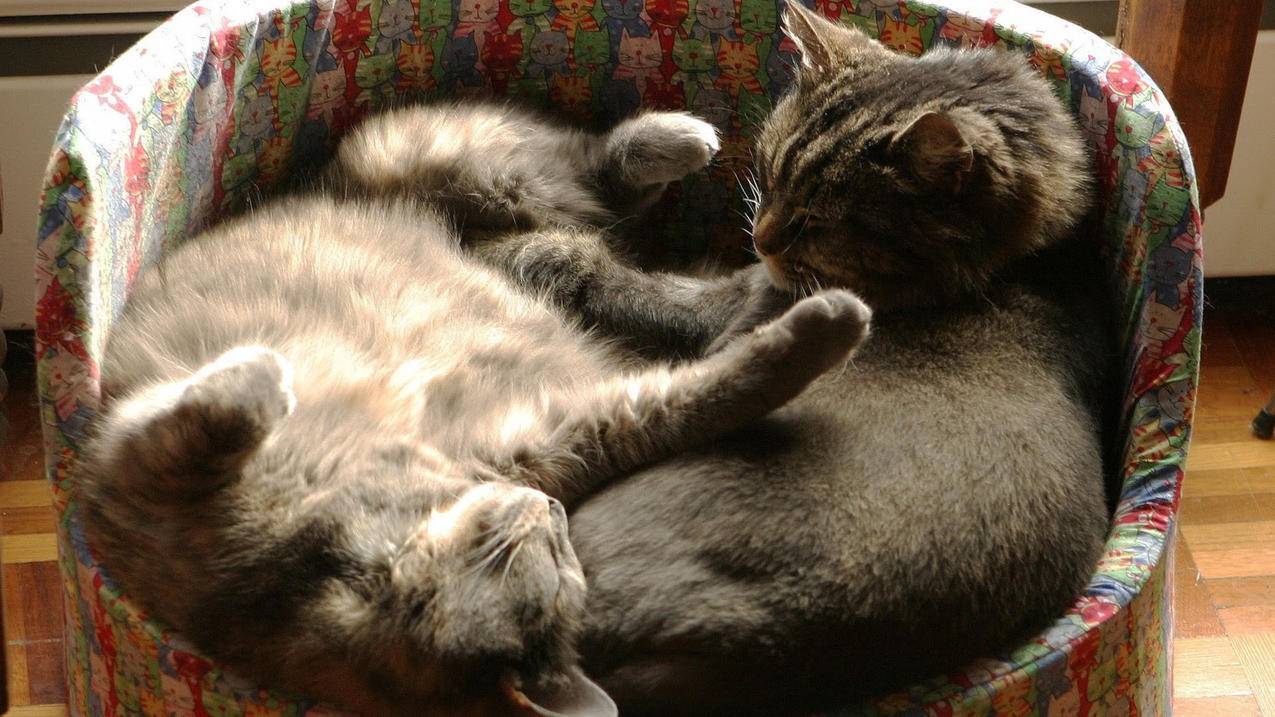 初中生如何高效制作数学错题本以提升成绩？ - 初中教育 - ks24小时自助