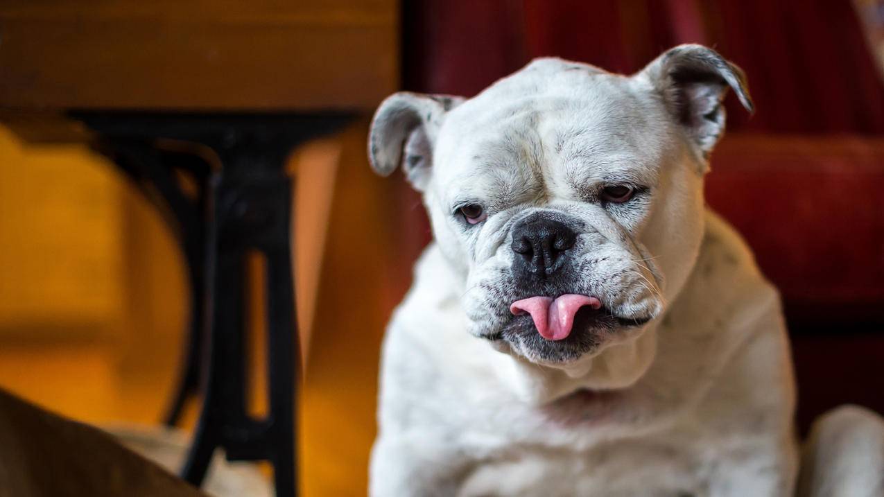 fifaonline4转会数据更新_fifa online4球员转会更新 - Line相关 - 55dz账号网