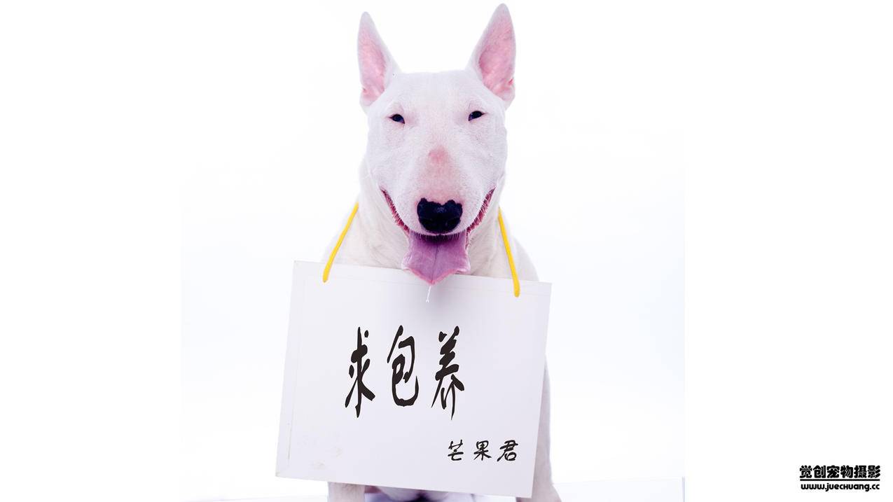 国外tiktok怎么用？国际版抖音tiktok使用教程-苹果id平台