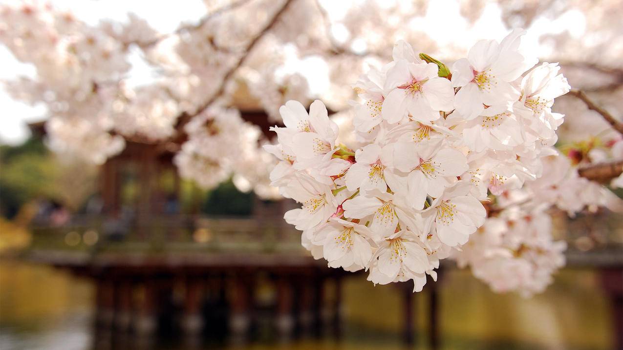 注册qq不用手机号怎么注册_不用手机号怎么注册 - gmail相关 - 55dz账号网