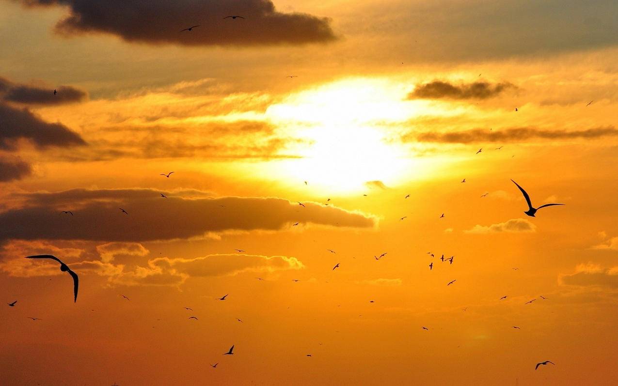 有了小火箭怎么找节点  ( 小火箭节点哪家好 ) - 55dz账号网