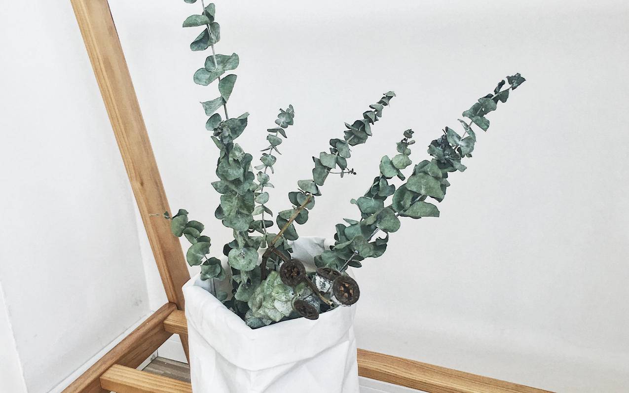 偶像梦幻祭日服新卡池_偶像梦幻祭2日服卡池时间表 - 日本苹果ID - 55dz账号网