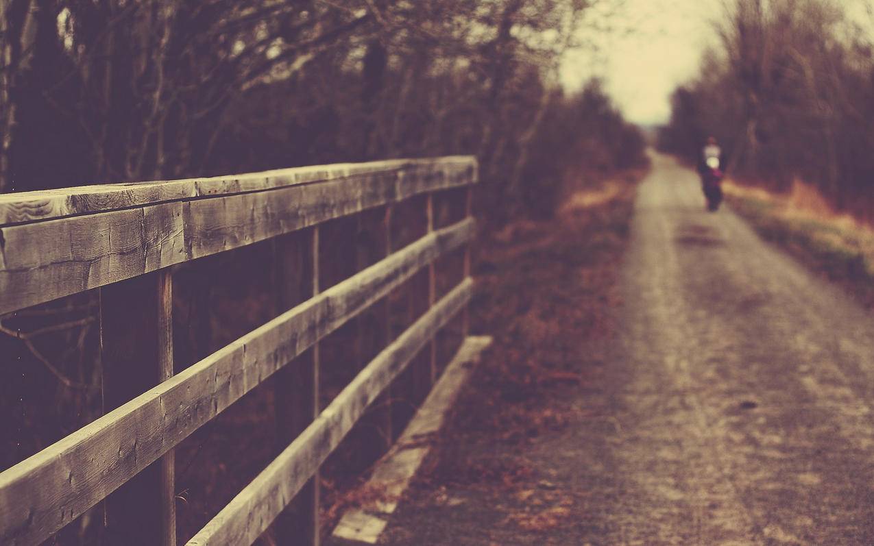 nba2k22街头服饰是只能一个存档用吗_nba2k22街头衣服哪里买 - IOS分享 - 55dz账号网