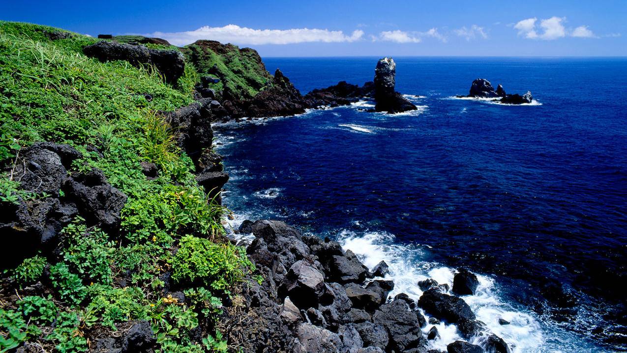 messenger群聊链接_messenger群聊多少人 - messenger相关 - 55dz账号网