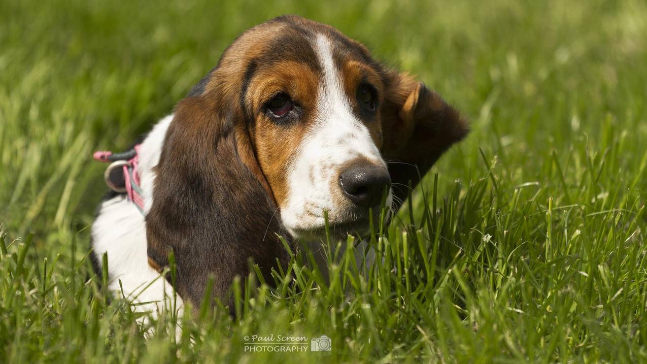 国内苹果怎么登陆instagram  ( 如何在ins登录自己的手机账号? ) - 55dz账号网