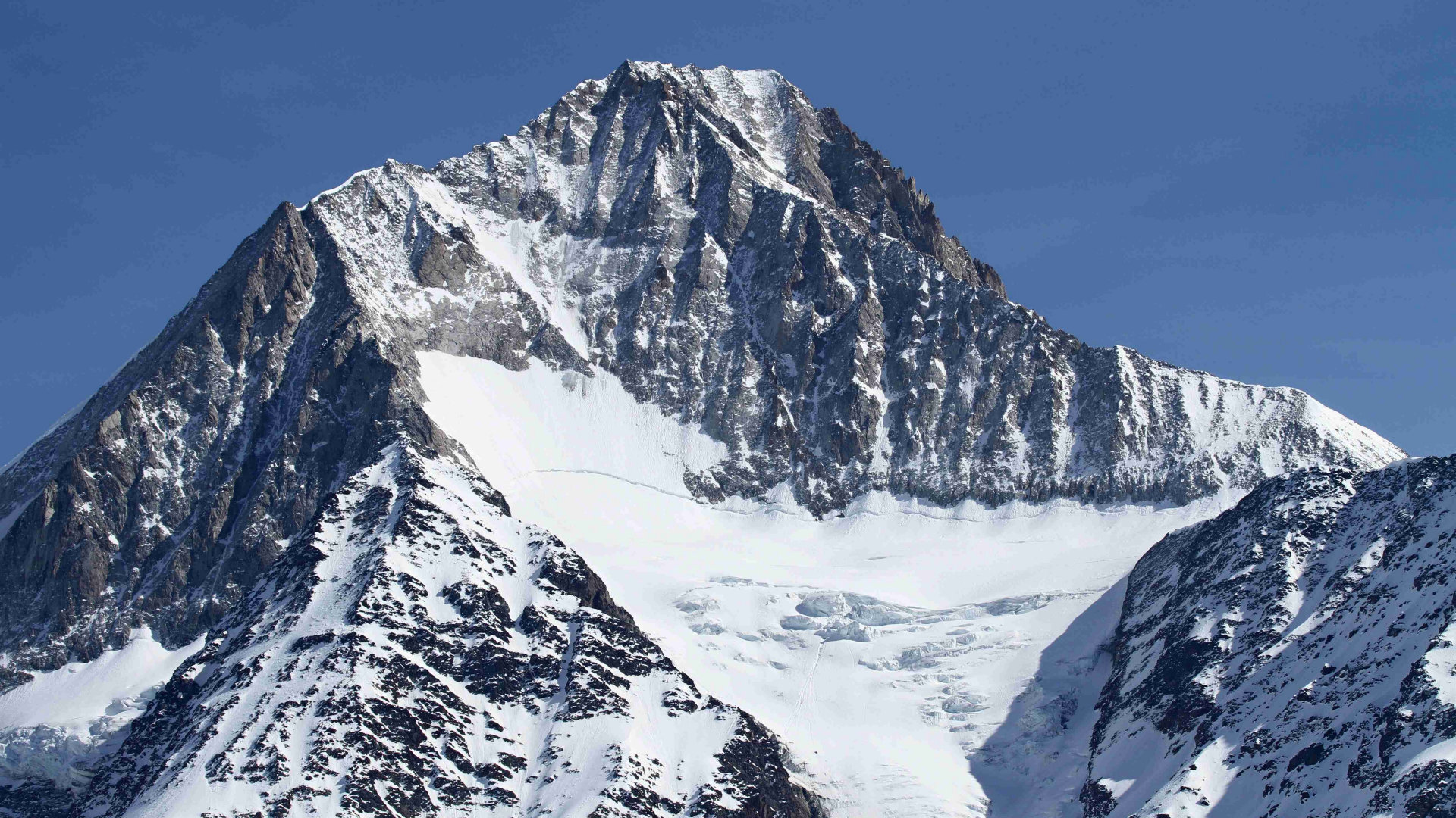 小红书如何高效搜索优质内容？ - 网络资讯 - ks业务下单