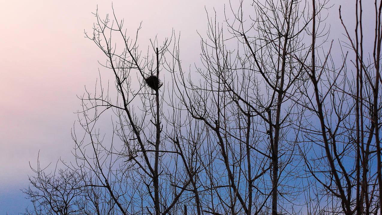 别人越南appleid下载的应用 更新（越南appleid分享） - 各区苹果ID - 55dz账号网