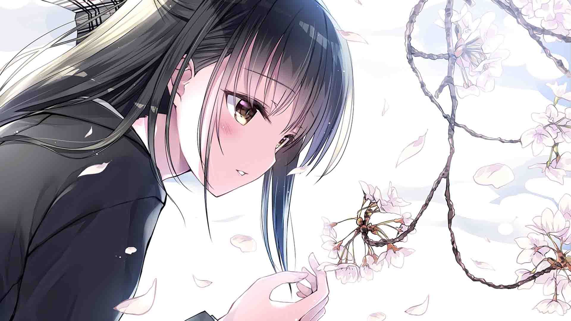 申请韩国苹果id电子邮件怎么填写_mcn传媒是什么意思 - 韩国苹果id - 55dz账号网