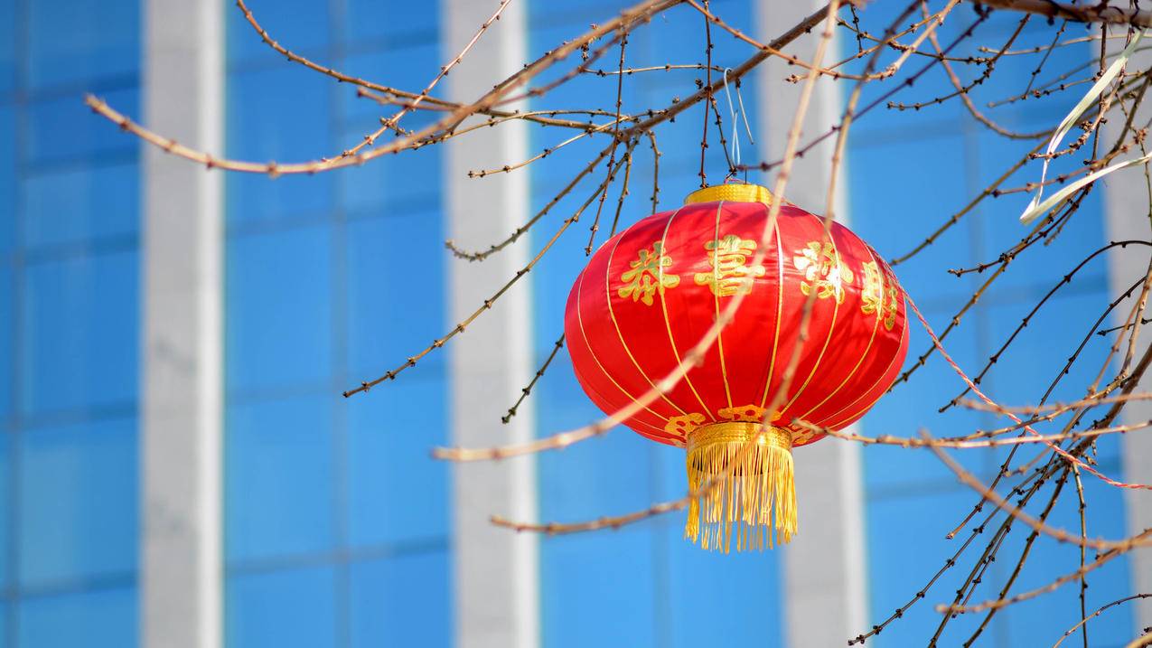 怎么联系tiktok小店的客服经理_tiktok人工客服 - 苹果APP下载 - 55dz账号网