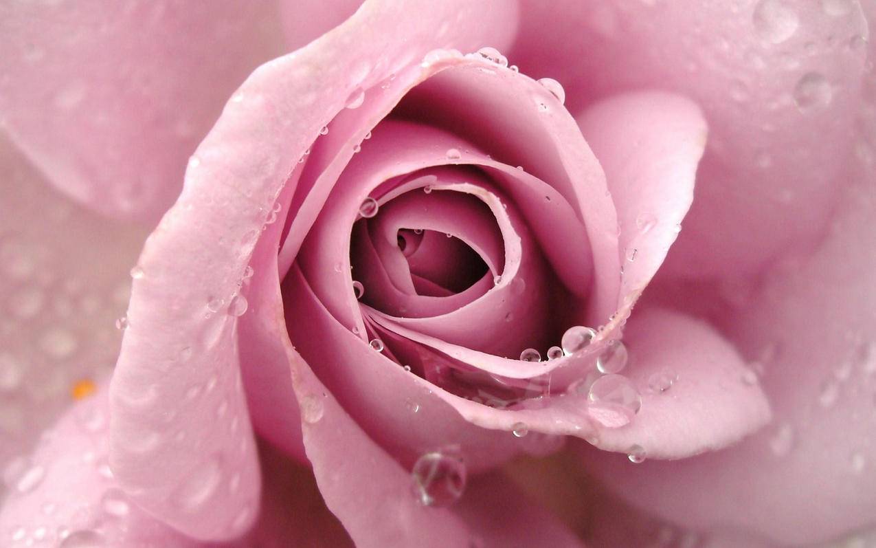 facebook优化师工资多少钱_facebook高级工程师工资 - facebook相关 - 55dz账号网