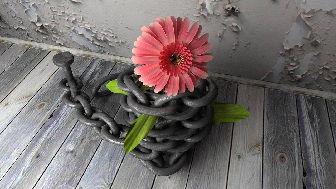 qq刷赞网站免费领三万赞,快手24小时自助平台下单,超低qq代网刷