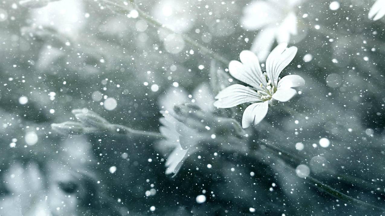 如何挑选试卷初中数学题，如何有效挑选适合初中生的数学试卷？ - 初中教育 - ks24小时自助