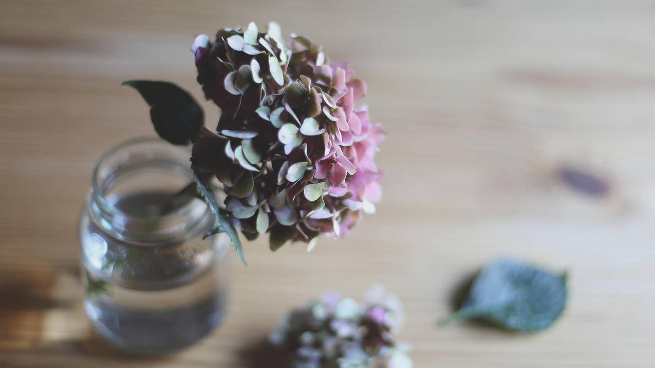 如何高效解答初中数学图形题？ - 初中教育 - ks24小时自助